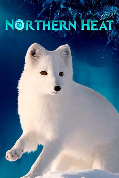 Northern Heat